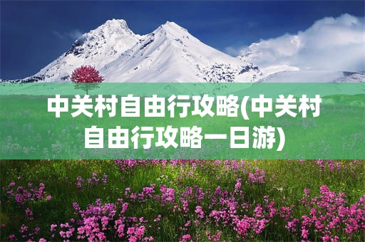 中关村自由行攻略(中关村自由行攻略一日游)