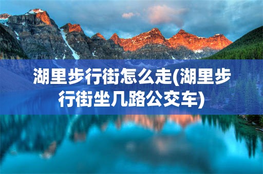湖里步行街怎么走(湖里步行街坐几路公交车)