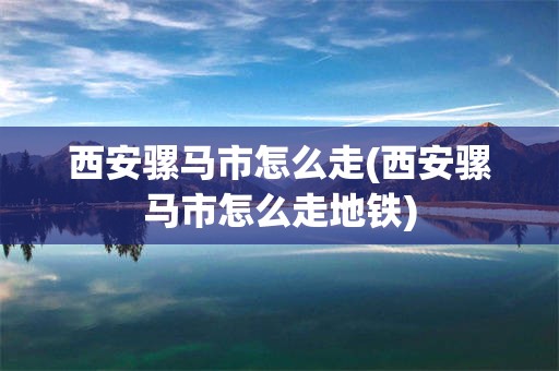 西安骡马市怎么走(西安骡马市怎么走地铁)
