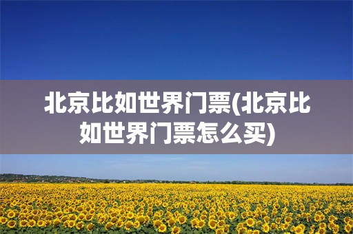 北京比如世界门票(北京比如世界门票怎么买)