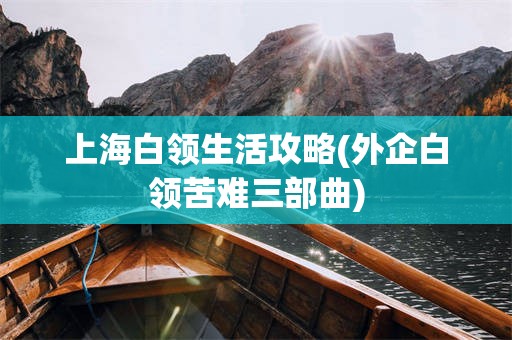 上海白领生活攻略(外企白领苦难三部曲)