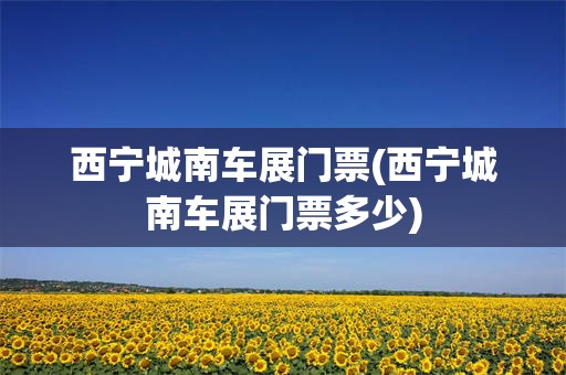西宁城南车展门票(西宁城南车展门票多少)