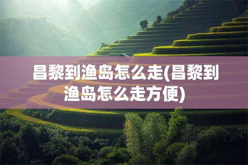 昌黎到渔岛怎么走(昌黎到渔岛怎么走方便)