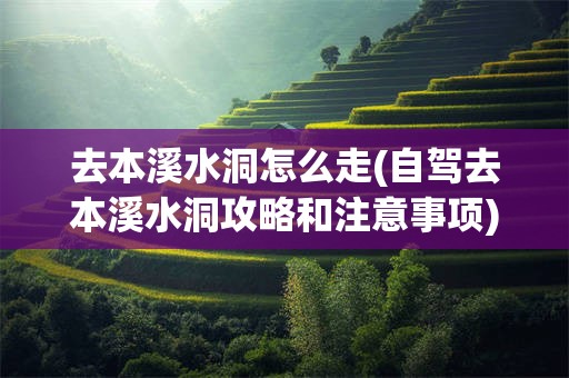 去本溪水洞怎么走(自驾去本溪水洞攻略和注意事项)
