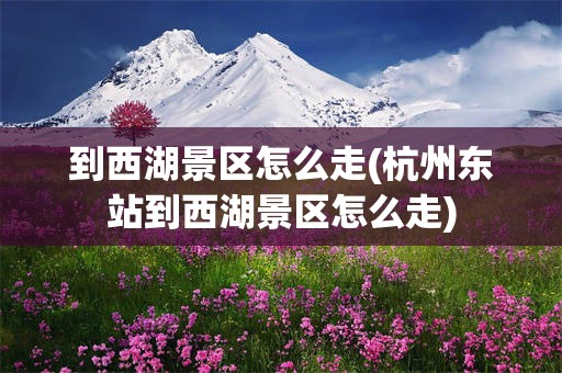 到西湖景区怎么走(杭州东站到西湖景区怎么走)