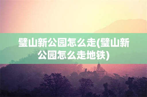 璧山新公园怎么走(璧山新公园怎么走地铁)