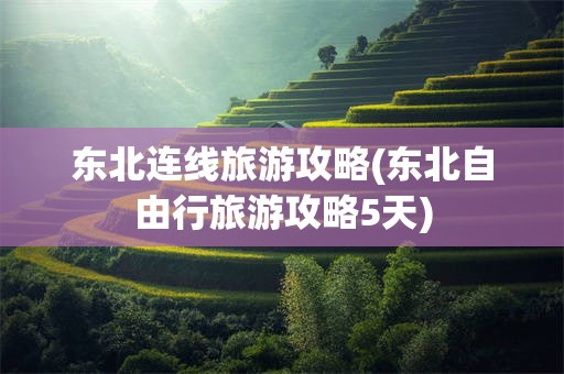 东北连线旅游攻略(东北自由行旅游攻略5天)