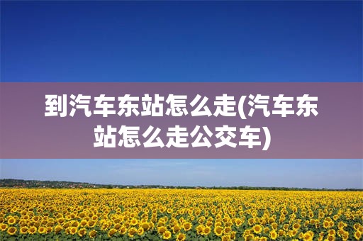 到汽车东站怎么走(汽车东站怎么走公交车)