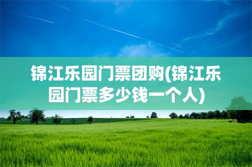 锦江乐园门票团购(锦江乐园门票多少钱一个人)