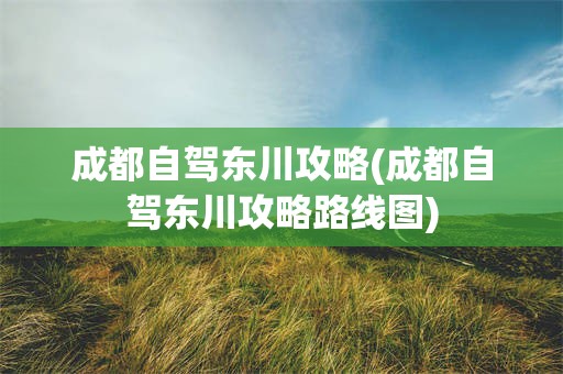 成都自驾东川攻略(成都自驾东川攻略路线图)