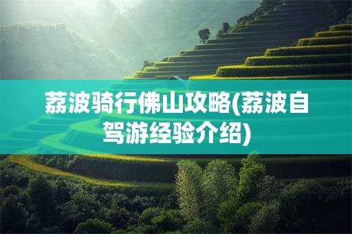荔波骑行佛山攻略(荔波自驾游经验介绍)