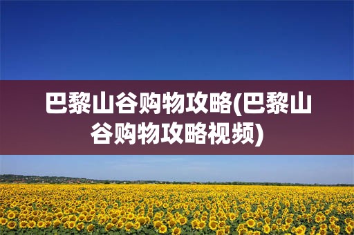 巴黎山谷购物攻略(巴黎山谷购物攻略视频)