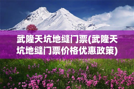 武隆天坑地缝门票(武隆天坑地缝门票价格优惠政策)