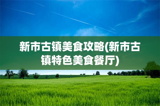 新市古镇美食攻略(新市古镇特色美食餐厅)