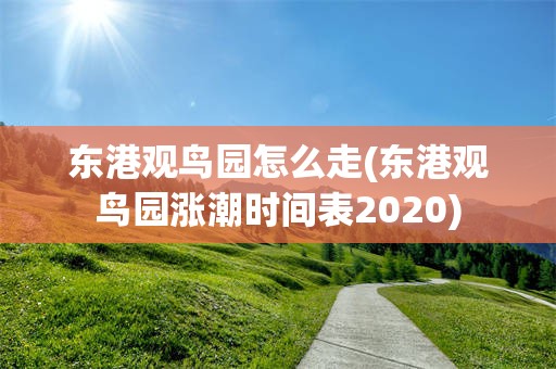 东港观鸟园怎么走(东港观鸟园涨潮时间表2020)