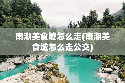 南湖美食城怎么走(南湖美食城怎么走公交)