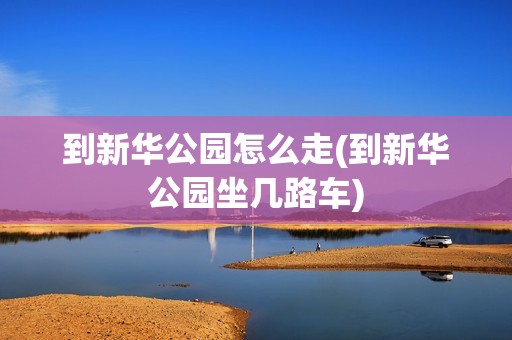 到新华公园怎么走(到新华公园坐几路车)