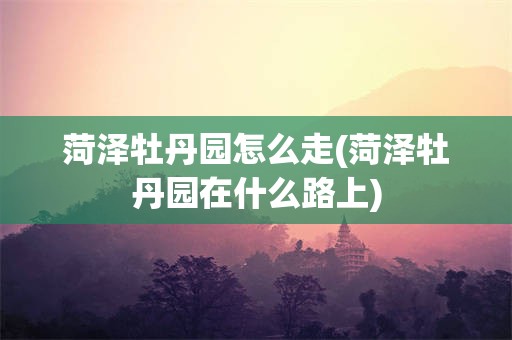 菏泽牡丹园怎么走(菏泽牡丹园在什么路上)
