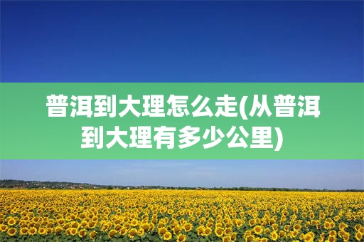普洱到大理怎么走(从普洱到大理有多少公里)
