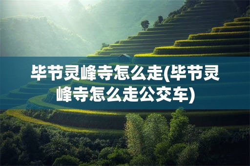 毕节灵峰寺怎么走(毕节灵峰寺怎么走公交车)