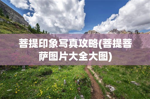 菩提印象写真攻略(菩提菩萨图片大全大图)