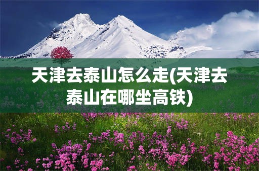 天津去泰山怎么走(天津去泰山在哪坐高铁)