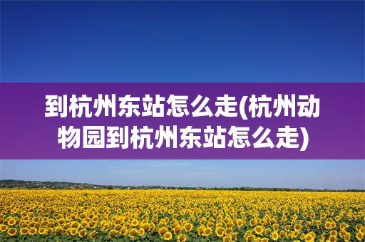 到杭州东站怎么走(杭州动物园到杭州东站怎么走)
