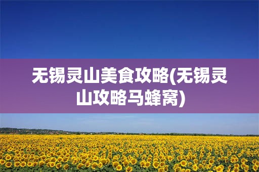 无锡灵山美食攻略(无锡灵山攻略马蜂窝)