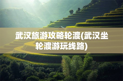 武汉旅游攻略轮渡(武汉坐轮渡游玩线路)