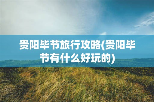 贵阳毕节旅行攻略(贵阳毕节有什么好玩的)