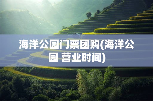 海洋公园门票团购(海洋公园 营业时间)