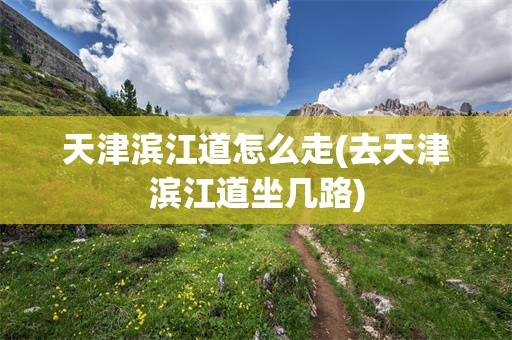 天津滨江道怎么走(去天津滨江道坐几路)