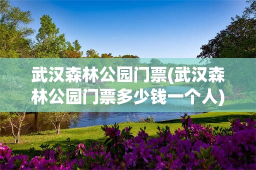 武汉森林公园门票(武汉森林公园门票多少钱一个人)