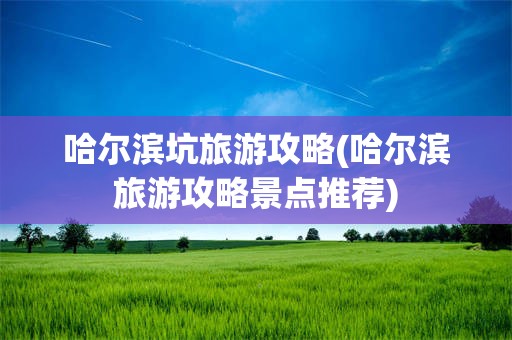 哈尔滨坑旅游攻略(哈尔滨旅游攻略景点推荐)