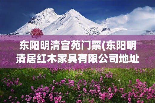东阳明清宫苑门票(东阳明清居红木家具有限公司地址)