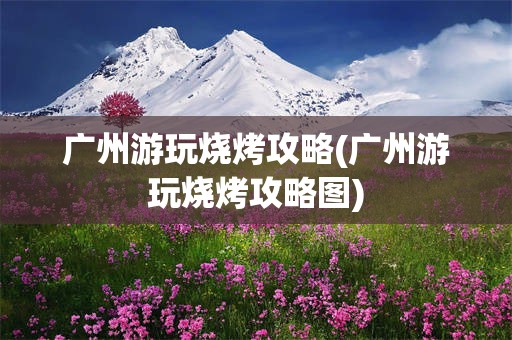 广州游玩烧烤攻略(广州游玩烧烤攻略图)