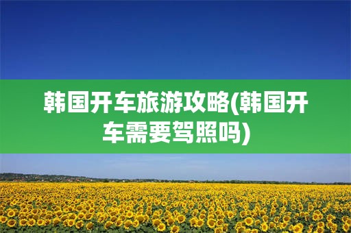 韩国开车旅游攻略(韩国开车需要驾照吗)