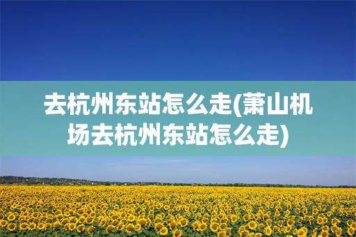 去杭州东站怎么走(萧山机场去杭州东站怎么走)