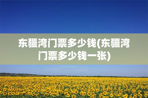 东疆湾门票多少钱(东疆湾门票多少钱一张)