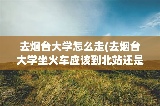 去烟台大学怎么走(去烟台大学坐火车应该到北站还是南站)