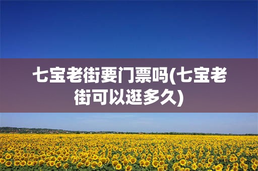 七宝老街要门票吗(七宝老街可以逛多久)