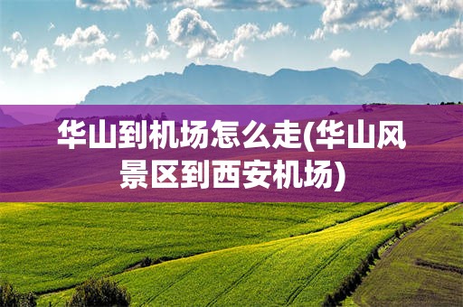 华山到机场怎么走(华山风景区到西安机场)