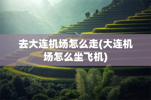 去大连机场怎么走(大连机场怎么坐飞机)