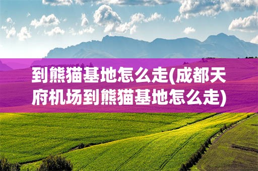 到熊猫基地怎么走(成都天府机场到熊猫基地怎么走)
