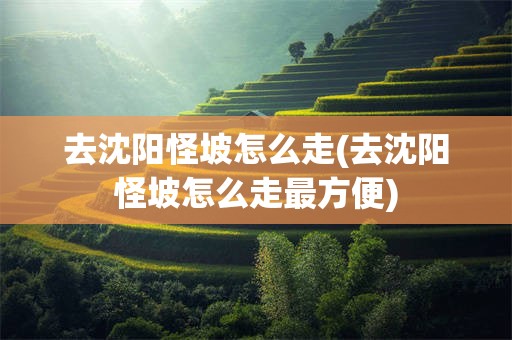 去沈阳怪坡怎么走(去沈阳怪坡怎么走最方便)