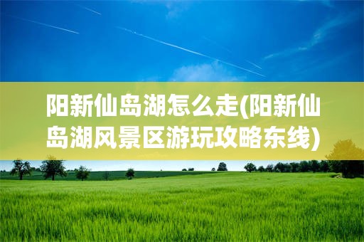 阳新仙岛湖怎么走(阳新仙岛湖风景区游玩攻略东线)