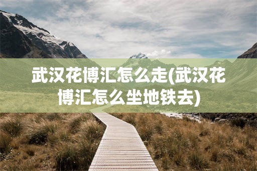 武汉花博汇怎么走(武汉花博汇怎么坐地铁去)