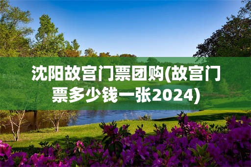 沈阳故宫门票团购(故宫门票多少钱一张2024)