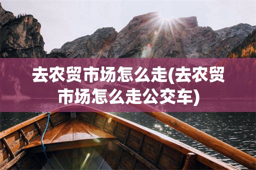 去农贸市场怎么走(去农贸市场怎么走公交车)