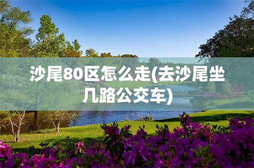 沙尾80区怎么走(去沙尾坐几路公交车)